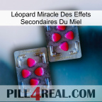 Léopard Miracle Des Effets Secondaires Du Miel 15